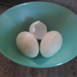 These will wait in the fridge so my kids can see them when they get home.