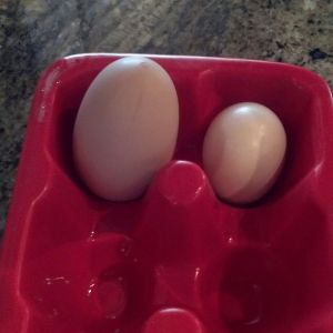 Elizabeth's First Egg on Left (Wyondotte) on Right is Silkie's(Liza) Egg