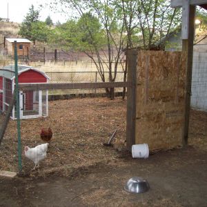 The new chicken pen and "coop".
