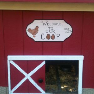 Front of the coop