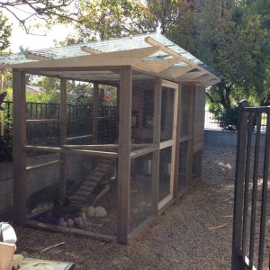 Still need to trim out the door, make an access hatch to collect eggs, new roost, poop board and nest boxes.  Chickens don't seem to mind that it's unfinished. :)
