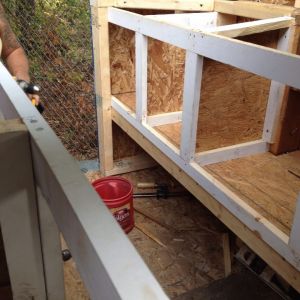 Nest boxes