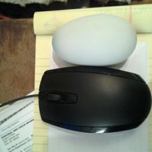 *
This is a picture of her huge egg next to our computer mouse