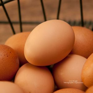 There is nothing prettier than fresh brown eggs.