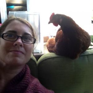 New Freedom Borough argues that hens are not pets, my hens disagree!