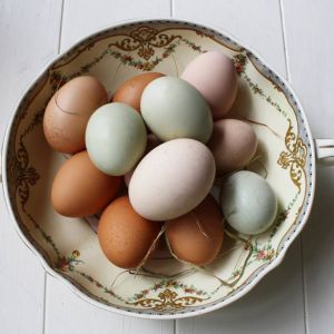 A mix of eggs from our girls, so beautiful
