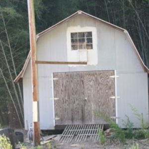 Outside of barn with guinea loft.  There is a door that flaps down and rests on the 2 x 4 perch that is attached to a power pole.  There is sheet metal attached to the pole to prevent predators from climbing to the perch.  The perch is about 8' off the ground.