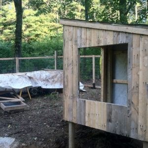 window framed out.  The window I added was an antique one I had planned on using for a greenhouse, perfect size for this application.  It opens to allow air movement in the summer and is lined with hardware cloth to help keep the coop secure.