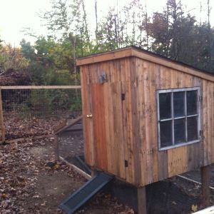 I took an old shutter I had and cut in half to make ramps for the chickens.  All the hinges and the bolt locks and door knob were reused from other projects and demo sites.