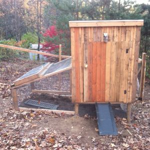 This is the completed coop with the enclosed pen.  They have access to the enclosed part all the time and will be outside in the fenced part during the day.