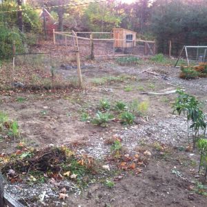 view from my garden