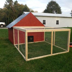 Chicken run