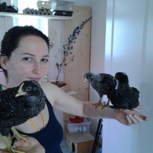 * Me and my 3 week  old Plymouth Rock chickens