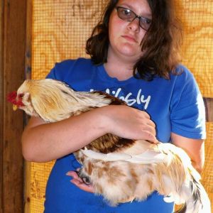 *
This is one of the very first ones we purchased in May.  It was supposed to be 'sexed' already as a female - looks like Liddy isn't Liddy anymore.