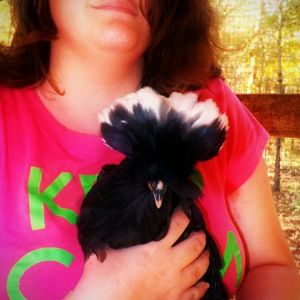 *
Lilli with one of her cresteds...