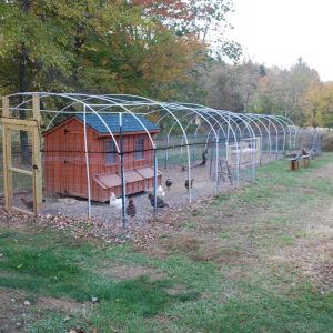 coop and enclosed run with "Chicken Channel" viewing area