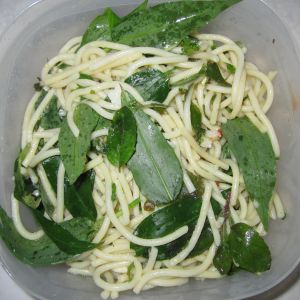 todays treat: spaguetti with aple cider vinegar, olive oil, fresh oregano leaves, fresh garlic sliced and leaves of a weed we call "cohitre"