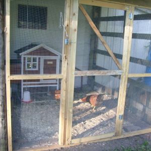 This is the enclosure that I made by stapling1/2" hardware cloth on 3 sides. I buried 1/4" hardware cloth around the bottom about 10", then added small patio stones to make sure the chickens didn't dig too close to the buried screen.  The front was framed by my handy spouse, and I actually made the door. The ceiling is just the 1" chicken wire to keep out the cats. So far it's been safe and sound. The small coop is ok for 3 seasons, but not insulated or warm enough for the very cold winter.