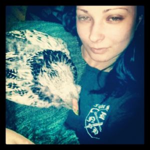Baby bird