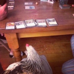 ya know, hangin out playin cards