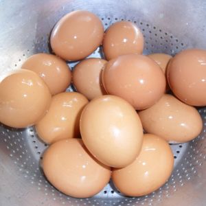 Couldn't figure out why we weren't getting eggs then I saw two hens laying under our camping trailer hitch and ....... shazaaaaaaaaaaam!  15 eggs!