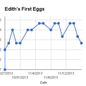 Edith's first eggs.  Easter Egger Bantam.  25 weeks old.