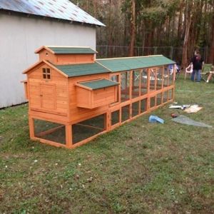 The coop from the side.