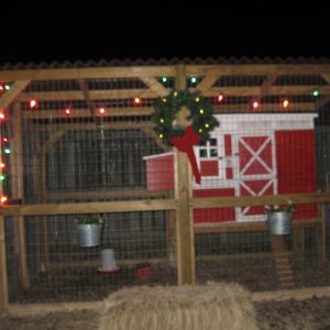 This is the completed coop and run after expansion. The run is a copy of one I found here, I think it's Coop de Ville.  I saw it, loved it and gave our builder a photo. They copied it exactly and I love it ! The barn doors on the coop are my favorite. Now our girls are safe and snug on cold nights. All we need to do is hang stockings for Santa.