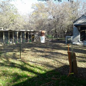 This my egg-layer coop and my new breeding pens. There are 7 breeding pens, that all measure 4x10ft.