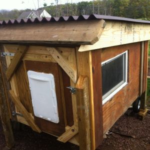 The coop converted from a dog house