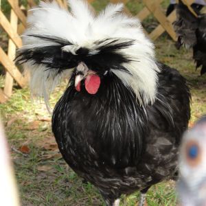 Photo-bomb by Lil' Roo LOL