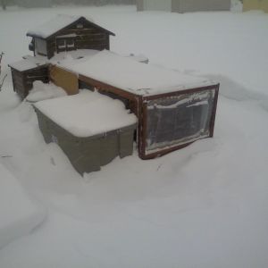 Lake effect..south of buffalo... girls are OK 100 w ceramic on all the time ann a 100w bulb going 18 hrs