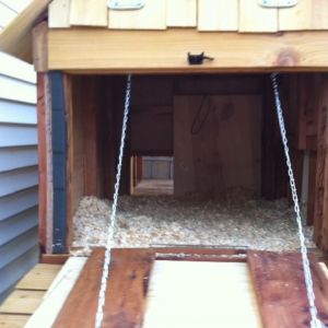 back door to easy clean coop