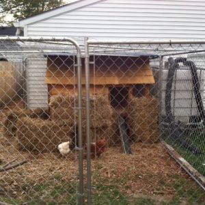 totally ready for the winter