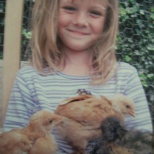 I've had chickens my entire life. (since I was 5 years old) and have always loved them!