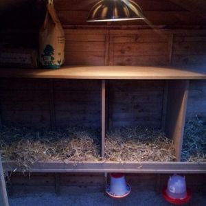 Nice and cozy