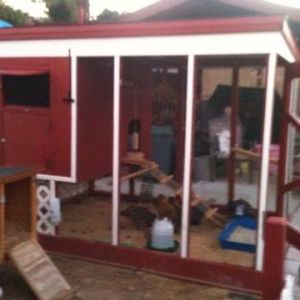 *
Chicken coop  with chickens.