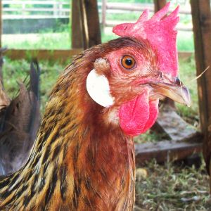 This is my good side