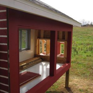Wire placed over the inside of windows and covered with panel board.  The floor also has panel board for easier cleaning. But it is not water proof so we had to cover the coop every time we finished for the day just in case it rained.