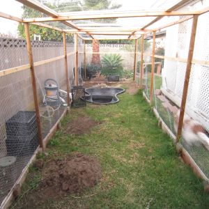 Our chicken run