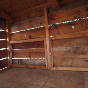 Inside of our coop