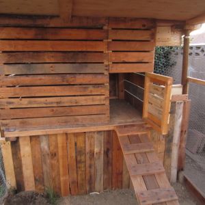 Front or our coop