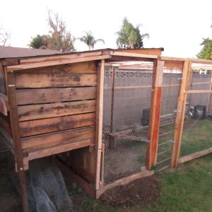 Side of our coop
