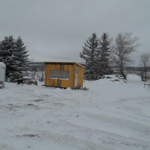 winter in New York. hens are cozy inside the egg moble