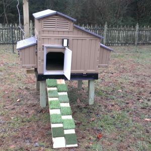 I love the Pullet Shut chicken door!  Solar panel is mounted on a lazy Susan type gadget so I can adjust as needed.  Trying out synthetic lawn patches for traction up the ramp.  If they keep trying to eat it I may need to use plain wooden steps.
