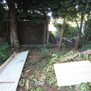 The coop are to start with, we had to clear out the brush a bit and level the ground somewhat