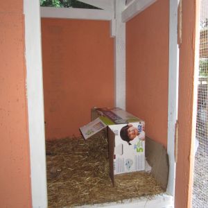 Sizing up the nest boxes