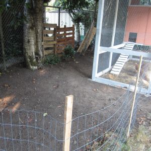 Coop and run We used the fence as the back wall for the run, with the coop itself the required 5 ft away from the fence line