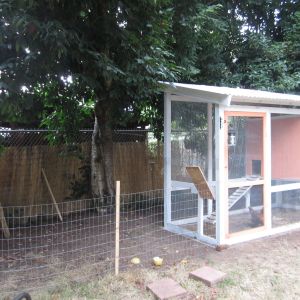 Mostly finished coop