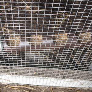 Feeding system. **Needs to be a bit wider, the feed doesn't quite slide down the tube and we have to bang on it to get it to fill up